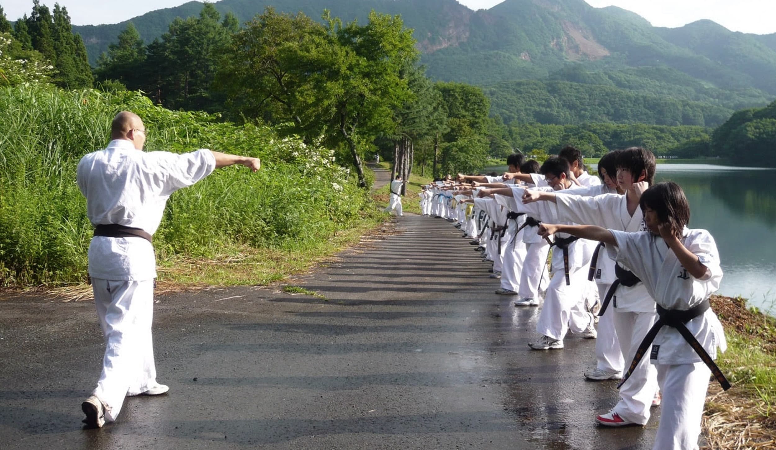 Main image of Dosada Dojo Karate