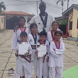 Dpreachers Taekwondo Academy logo