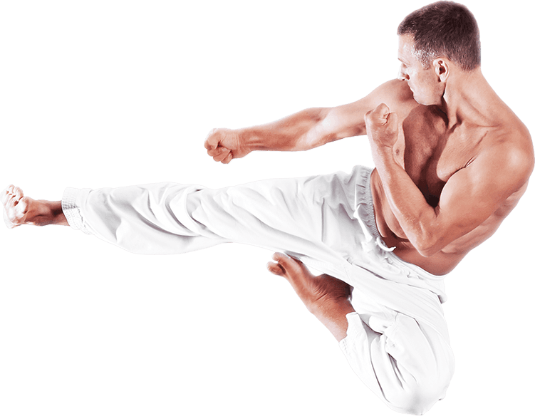 Dragon Freestyle Kickboxing logo
