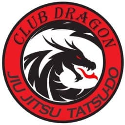 Dragon Jiu Jitsu Tatsu-do logo