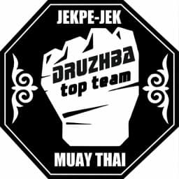 Druzhba Top Team logo