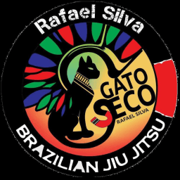 Dry Cat Team logo