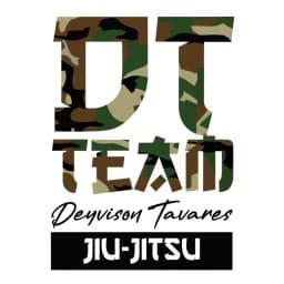 DT Team logo
