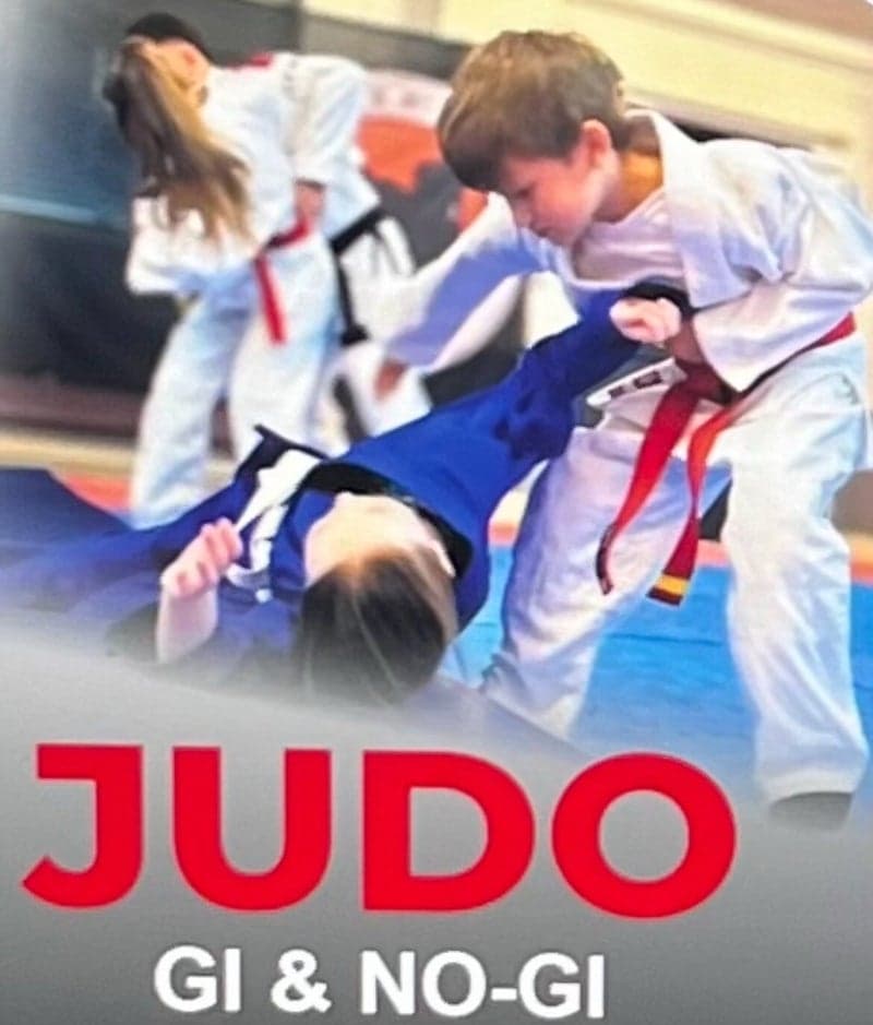 Main image of Dudley Judo Club