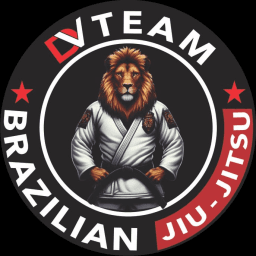 DV Team Jiu Jitsu logo