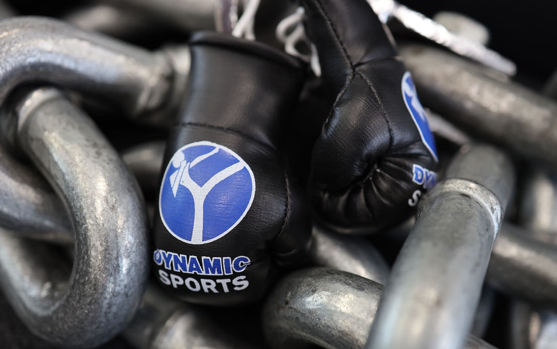 Main image of Dynamic Sports Basel - Kickboxen, Thaiboxen, Boxen, Sambo, MMA