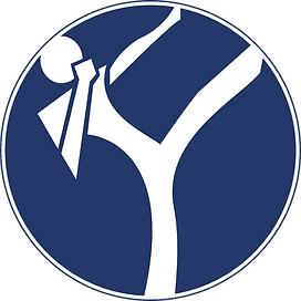 Dynamic Sports Basel - Kickboxen, Thaiboxen, Boxen, Sambo, MMA logo