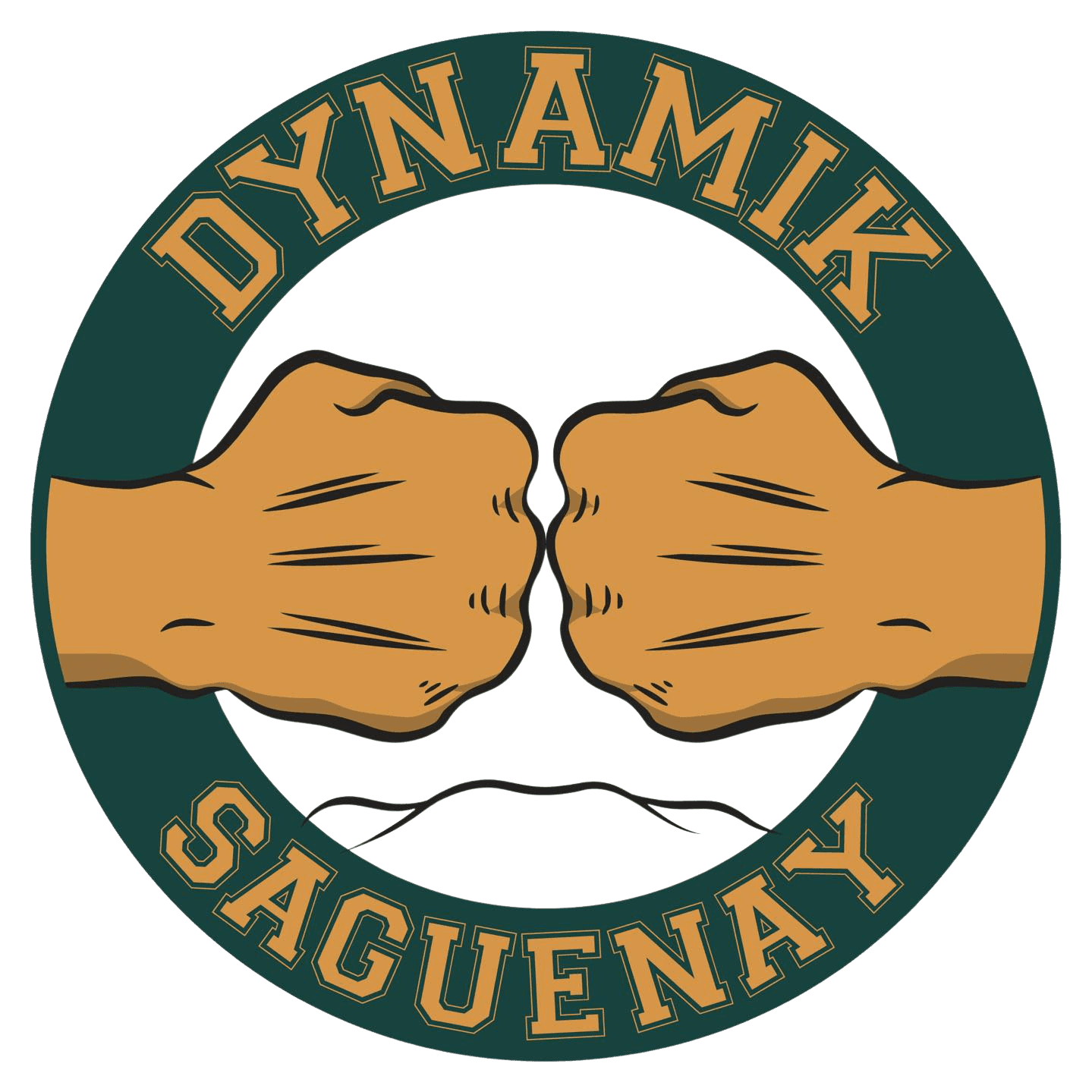 Dynamik Saguenay logo