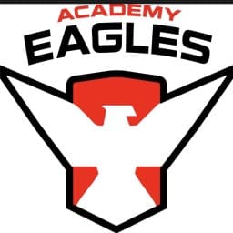 Eagles Bjj logo