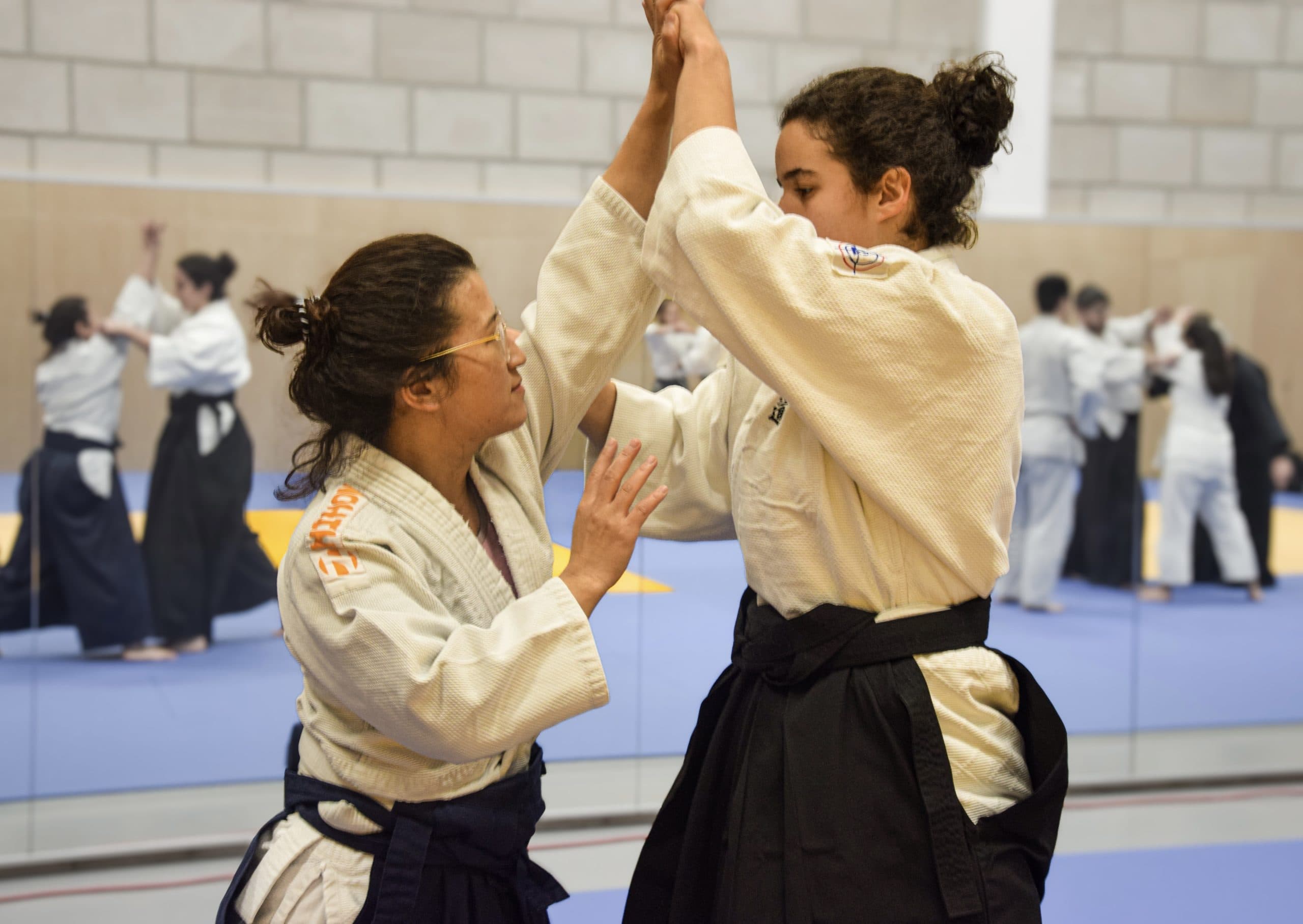 Main image of Eindhovense Studenten Budo Vereniging Samourais