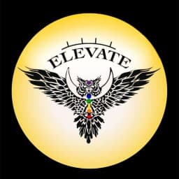 Elevate Rosendale BJJ logo