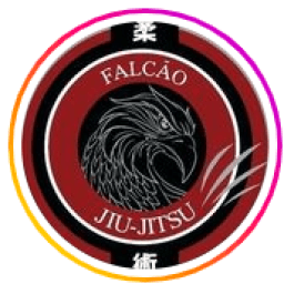 Equipe Ivan Falcão logo