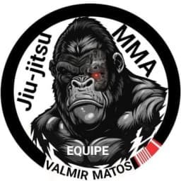 Equipe Valmir Matos Team logo