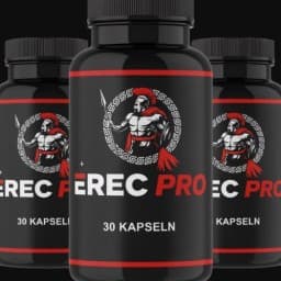 Erec Pro Ergebnisse logo