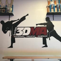 Erolin 3D Martial Arts logo