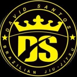Escola de jiu-jitsu DSTEAM logo