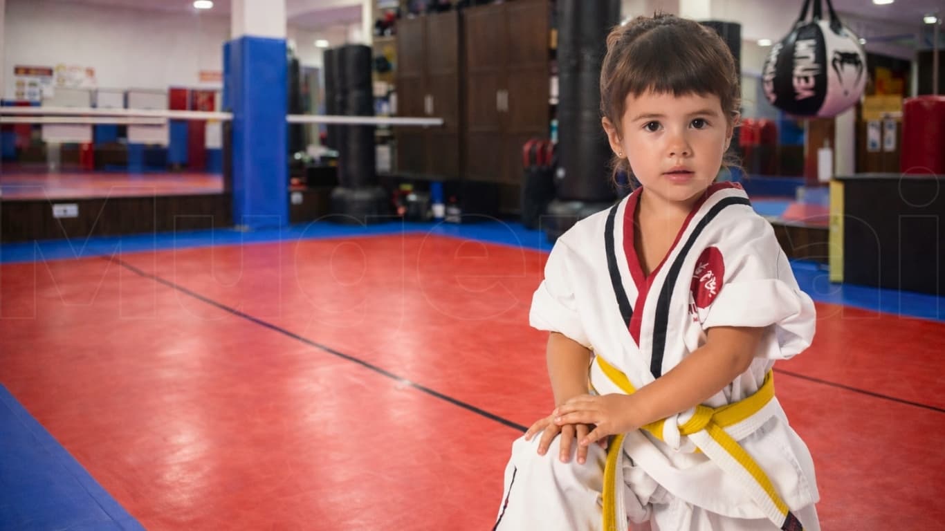 Main image of Escuela de Artes Marciales y Defensa Personal Mugenkai Bilbao