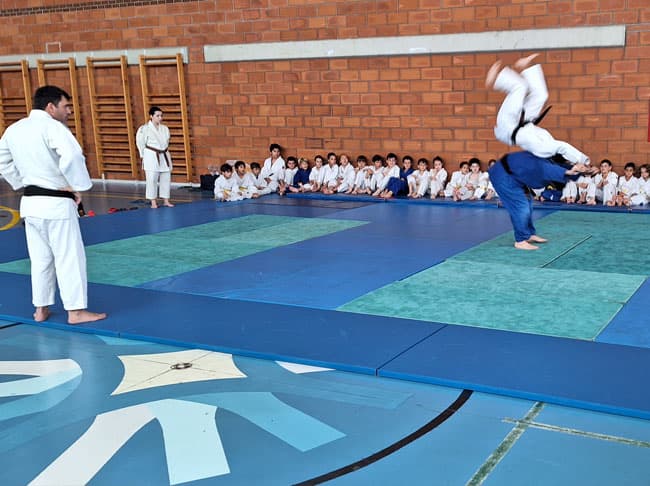Main image of Escuela de Judo Kitaro