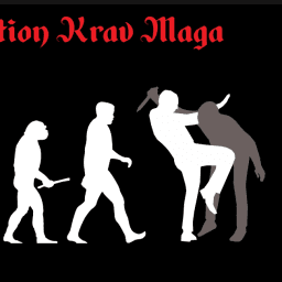 Evolution Krav Maga and BJJ logo