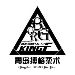 EXCELLENCE SCHOOL OF BJJ BORG logo