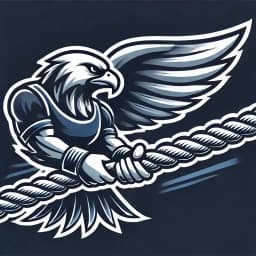 Falcons Team logo