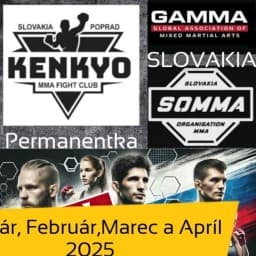 Fight club KENKYO logo