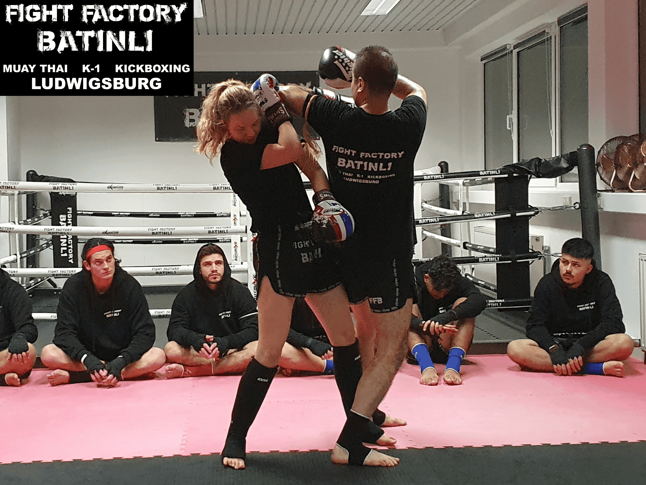 FIGHT FACTORY BATINLI logo