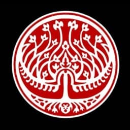Fight Team Roma / ARCADIA MMA logo