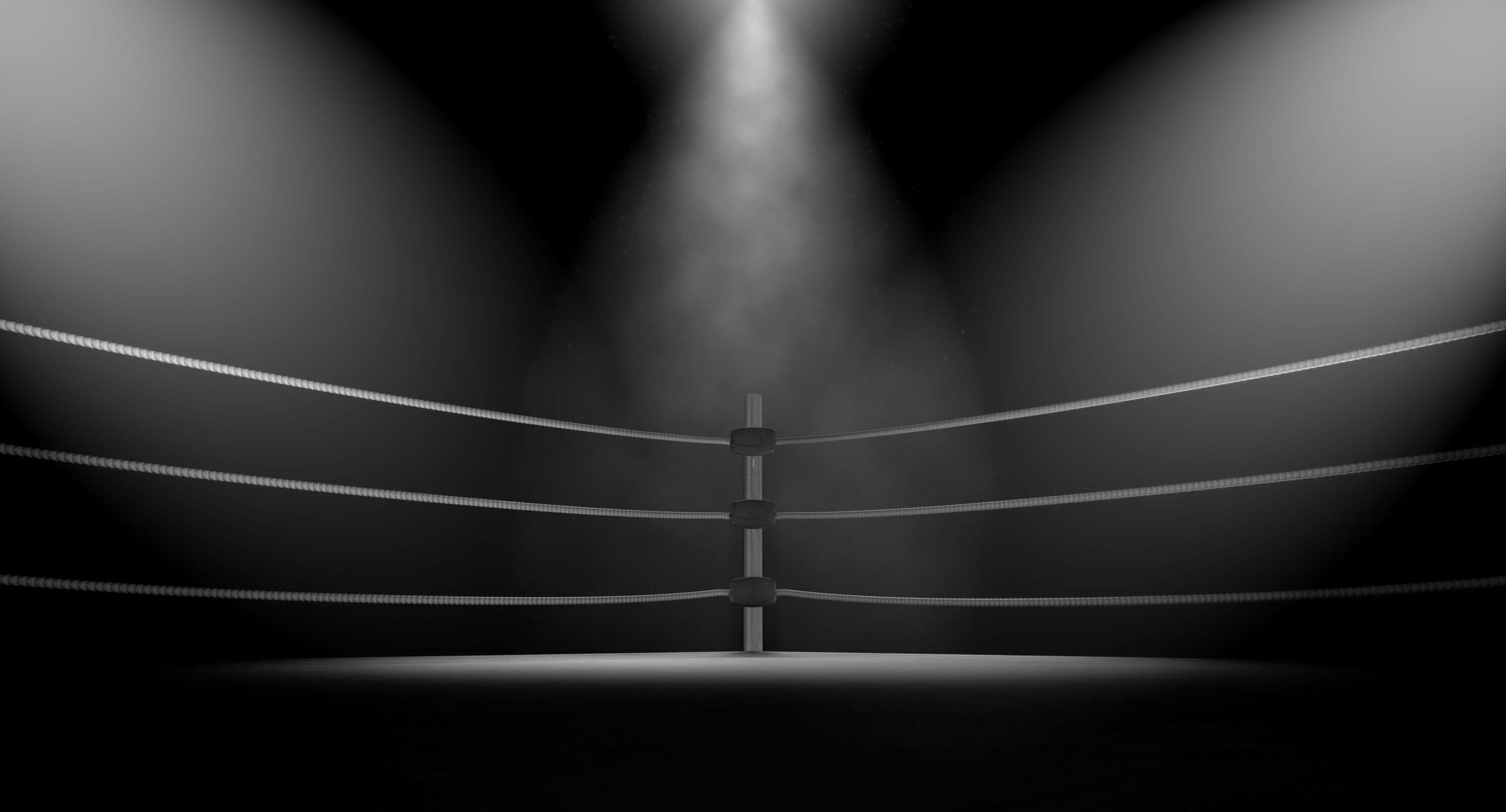 Main image of Fightback Factory Kelsterbach: Pro Wrestling School