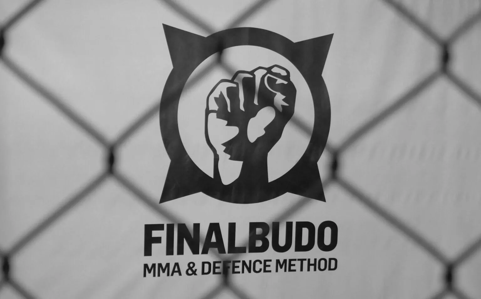 Main image of FINALBUDO MMA & DEFENCE ARTES MARCIALES