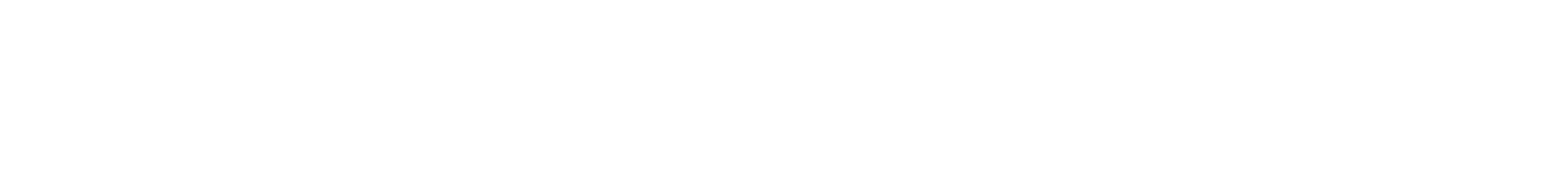 FLOW Academy logo
