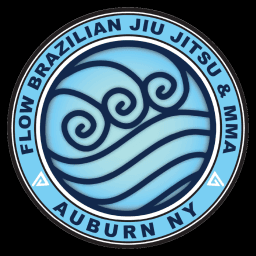 Flow BJJ and MMA logo