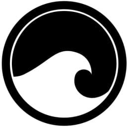 FLOW RUSSIA logo