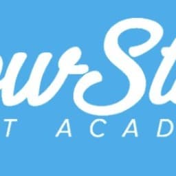 Flowstate Fight Academy logo