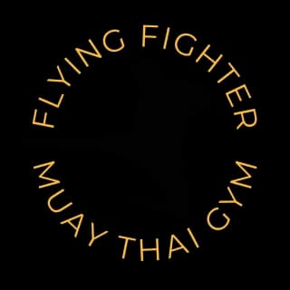 Flying Fighter logo