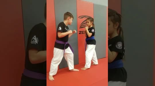 Main image of Foo Dogs Martial Arts Academy