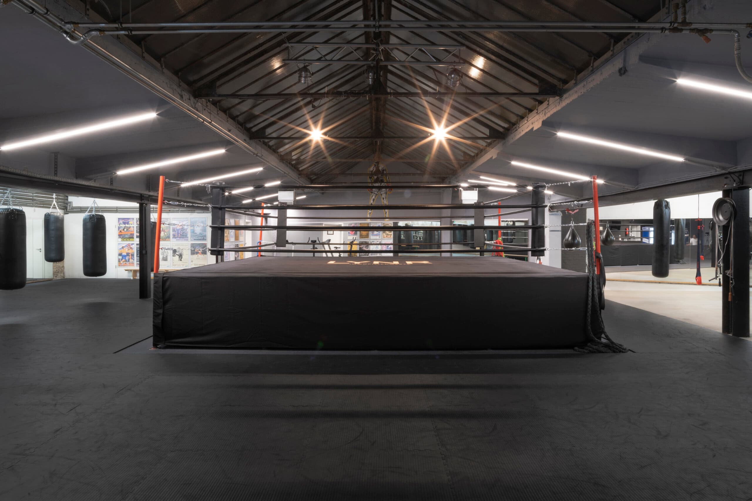 Main image of Freudenreich Professional Boxing