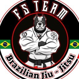 Fs Team logo