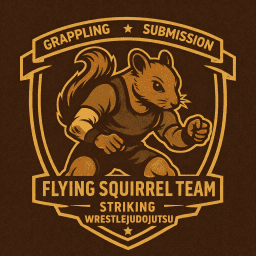 FS Team Martial Arts logo