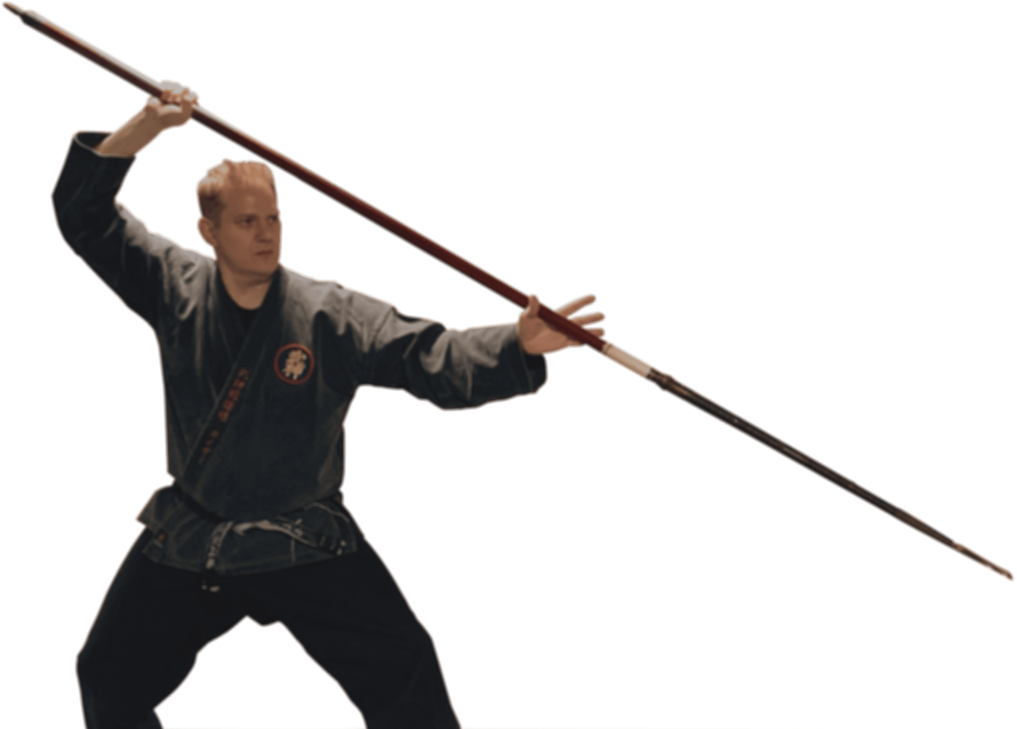 Fukuoka Bujinkan Dojo logo