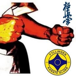 Fyllingen Karateklubb logo