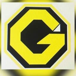 Gainz MMA logo