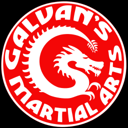 Galvan's Martial Arts in Brownsville logo