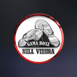 Gama-Boxe Fight logo