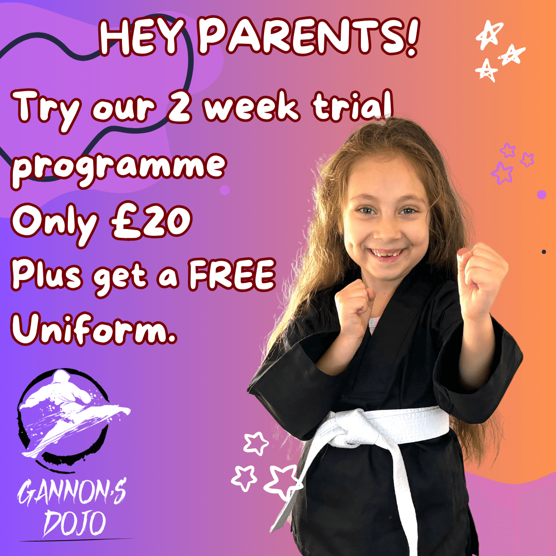 Main image of Gannon's Martial Arts - Leicester
