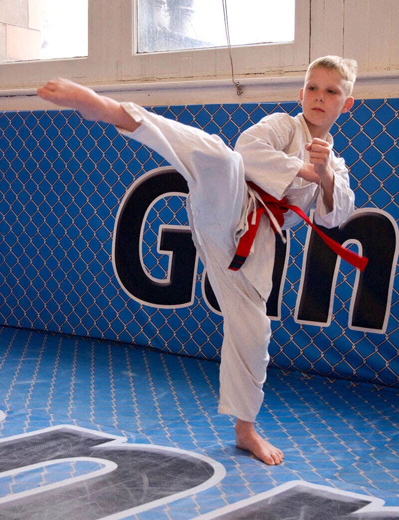 Gannon's Martial Arts - Leicester logo