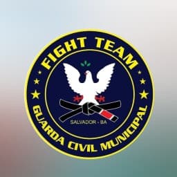 GCM Figth Team logo