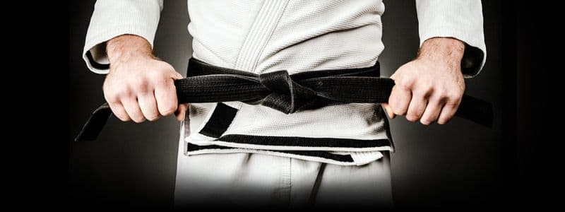 Gimnàs Judo Tao logo