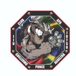 GPA jiujitsu chile logo