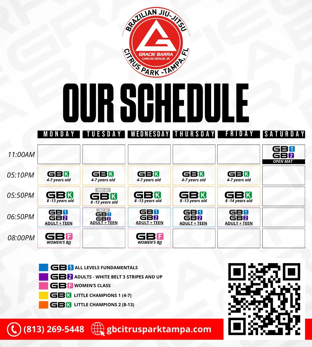 Main image of Gracie Barra - Jiu Jitsu in Tampa